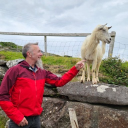 irland rundreise 2025_92